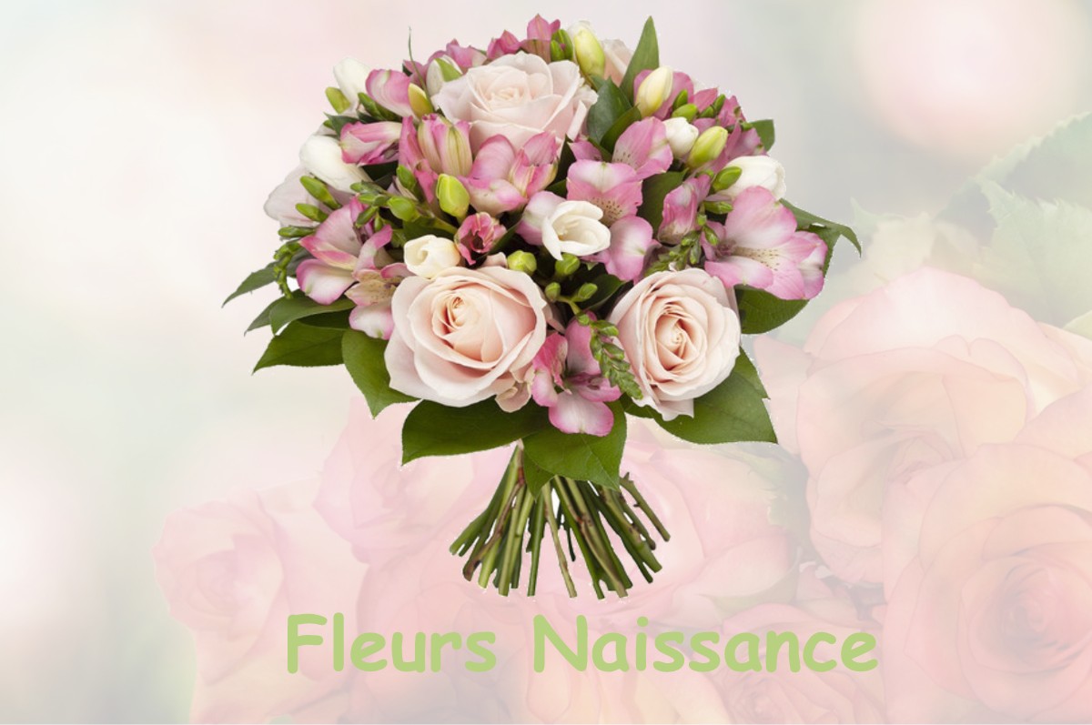 fleurs naissance PUGET-ROSTANG