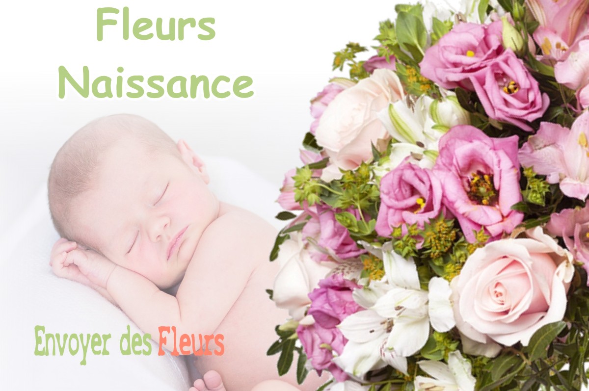 lIVRAISON FLEURS NAISSANCE à PUGET-ROSTANG