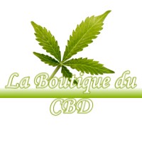 LA BOUTIQUE DU CBD PUGET-ROSTANG 